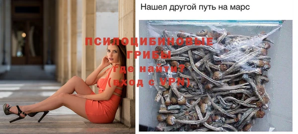 крисы Абдулино